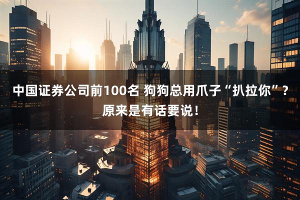 中国证券公司前100名 狗狗总用爪子“扒拉你”？原来是有话要说！