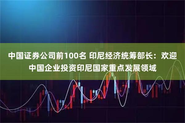 中国证券公司前100名 印尼经济统筹部长：欢迎中国企业投资印尼国家重点发展领域